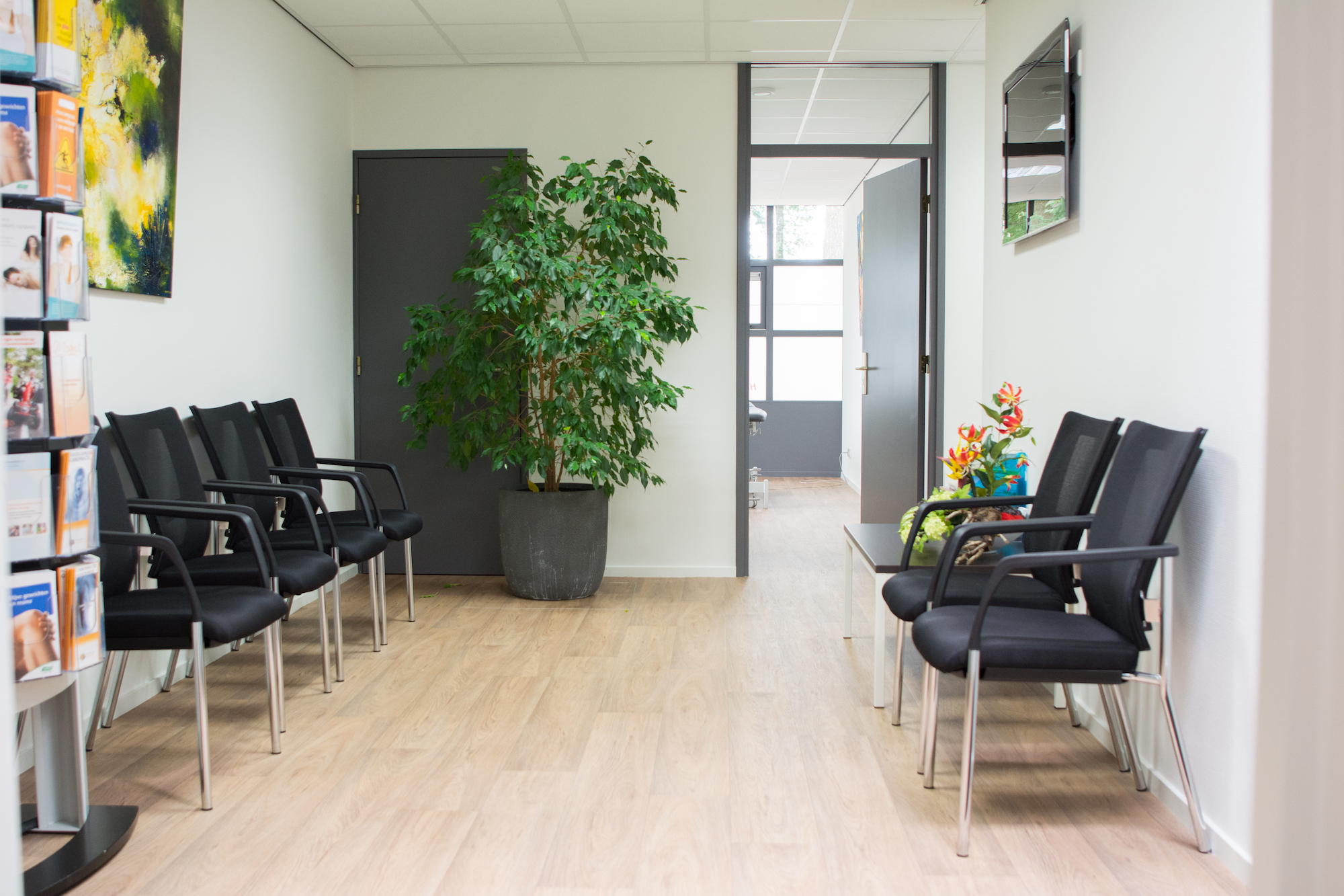 Mesrits_Fysiotherapie